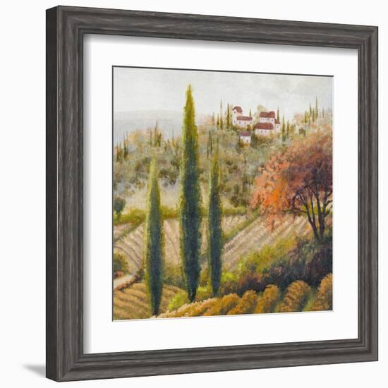 Tuscany Vineyard II-Michael Marcon-Framed Art Print