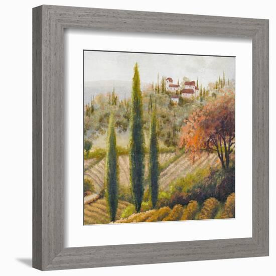 Tuscany Vineyard II-Michael Marcon-Framed Art Print