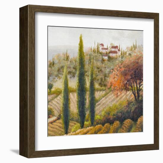 Tuscany Vineyard II-Michael Marcon-Framed Art Print