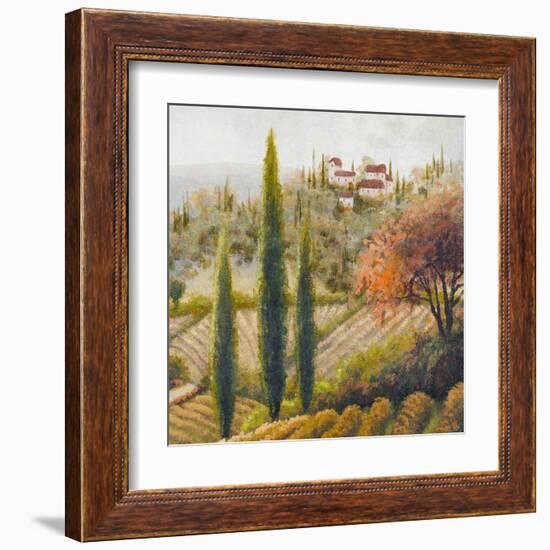 Tuscany Vineyard II-Michael Marcon-Framed Art Print