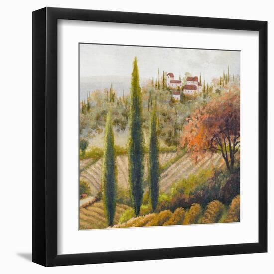 Tuscany Vineyard II-Michael Marcon-Framed Art Print