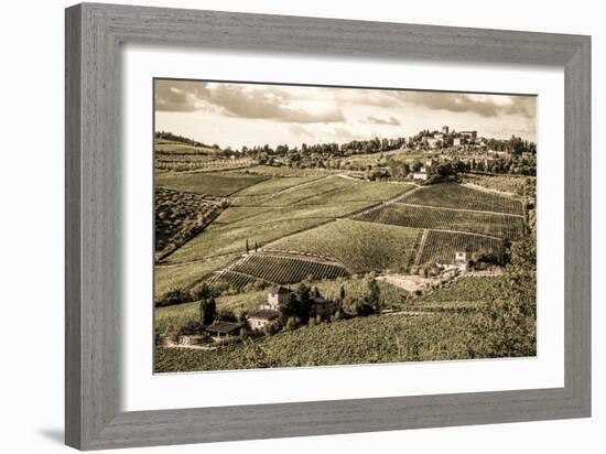 Tuscany Vineyard-Dan Ballard-Framed Photographic Print