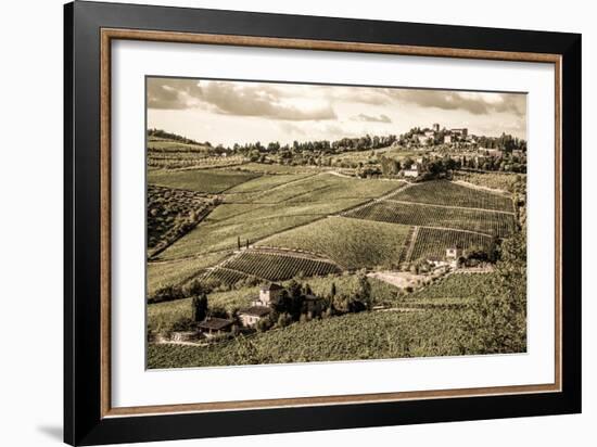 Tuscany Vineyard-Dan Ballard-Framed Photographic Print