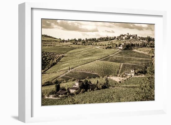 Tuscany Vineyard-Dan Ballard-Framed Photographic Print