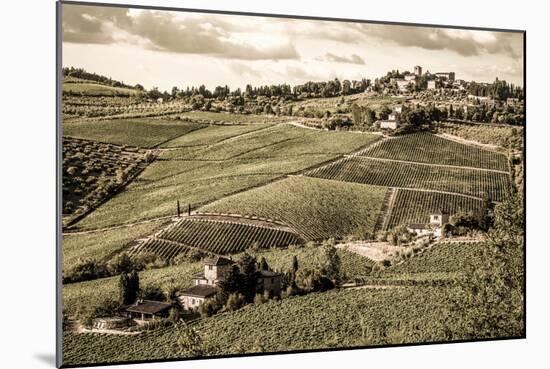 Tuscany Vineyard-Dan Ballard-Mounted Photographic Print