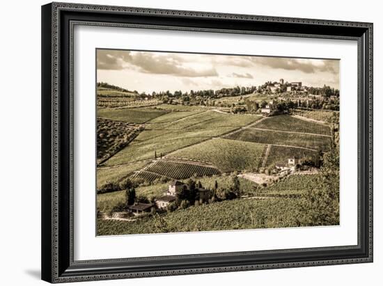 Tuscany Vineyard-Dan Ballard-Framed Photographic Print