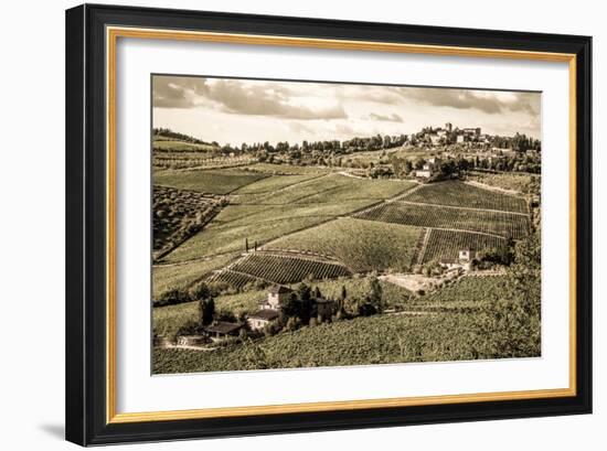 Tuscany Vineyard-Dan Ballard-Framed Photographic Print