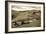 Tuscany Vineyard-Dan Ballard-Framed Photographic Print