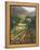 Tuscany Vineyard-Art Fronckowiak-Framed Stretched Canvas