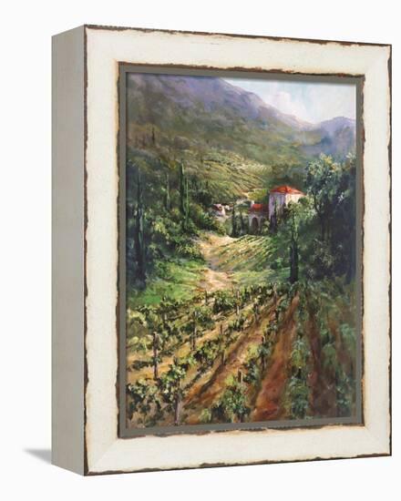 Tuscany Vineyard-Art Fronckowiak-Framed Stretched Canvas