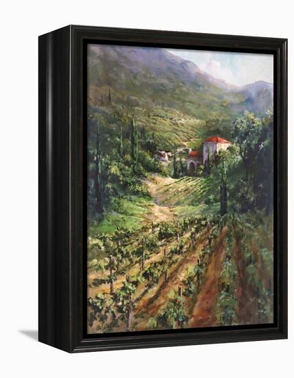 Tuscany Vineyard-Art Fronckowiak-Framed Stretched Canvas