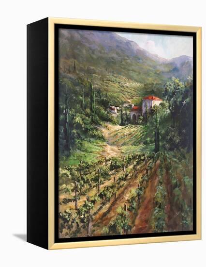 Tuscany Vineyard-Art Fronckowiak-Framed Stretched Canvas