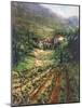 Tuscany Vineyard-Art Fronckowiak-Mounted Art Print