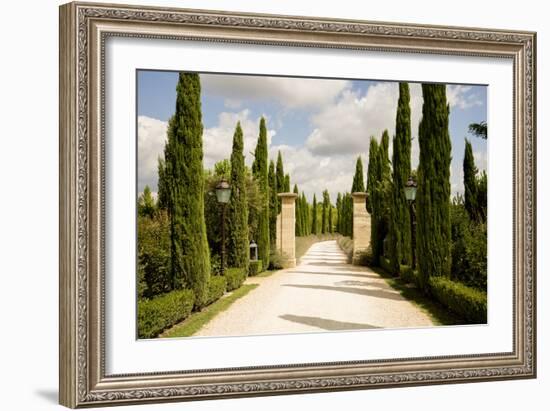 Tuscany Walkway-Ian Shive-Framed Photographic Print