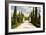 Tuscany Walkway-Ian Shive-Framed Photographic Print