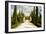 Tuscany Walkway-Ian Shive-Framed Photographic Print