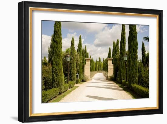 Tuscany Walkway-Ian Shive-Framed Photographic Print