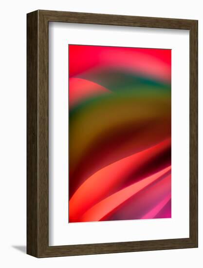 Tuscany-Ursula Abresch-Framed Photographic Print