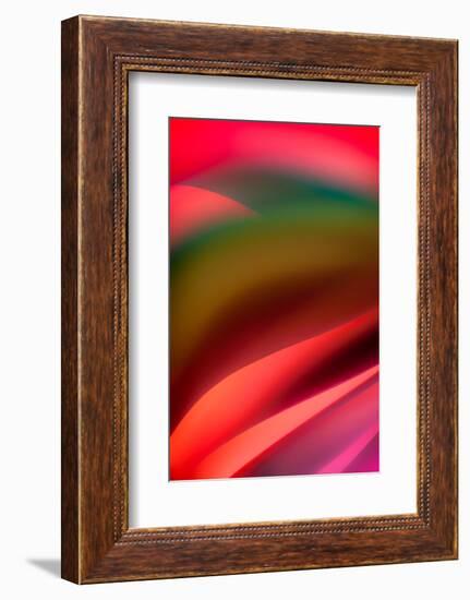 Tuscany-Ursula Abresch-Framed Photographic Print