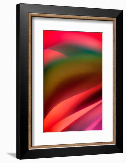 Tuscany-Ursula Abresch-Framed Photographic Print