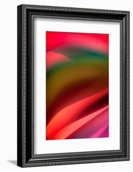 Tuscany-Ursula Abresch-Framed Photographic Print