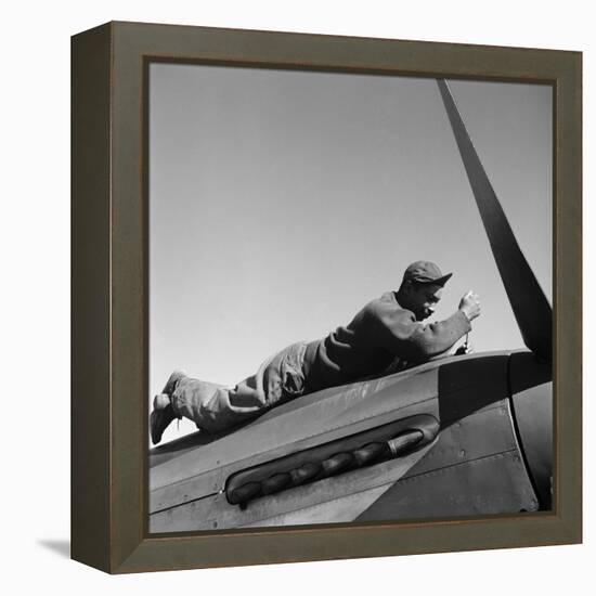 Tuskegee Airman, 1945-Toni Frissell-Framed Premier Image Canvas