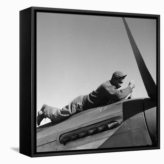 Tuskegee Airman, 1945-Toni Frissell-Framed Premier Image Canvas