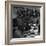 Tuskegee Airmen, 1945-Toni Frissell-Framed Giclee Print