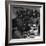 Tuskegee Airmen, 1945-Toni Frissell-Framed Giclee Print