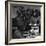 Tuskegee Airmen, 1945-Toni Frissell-Framed Giclee Print