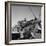 Tuskegee Airmen, 1945-Toni Frissell-Framed Giclee Print