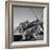 Tuskegee Airmen, 1945-Toni Frissell-Framed Giclee Print