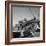 Tuskegee Airmen, 1945-Toni Frissell-Framed Giclee Print