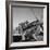 Tuskegee Airmen, 1945-Toni Frissell-Framed Giclee Print