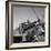 Tuskegee Airmen, 1945-Toni Frissell-Framed Giclee Print