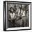 Tuskegee Airmen, 1945-Toni Frissell-Framed Giclee Print