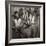 Tuskegee Airmen, 1945-Toni Frissell-Framed Giclee Print