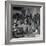 Tuskegee Airmen, 1945-Toni Frissell-Framed Giclee Print