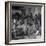 Tuskegee Airmen, 1945-Toni Frissell-Framed Giclee Print