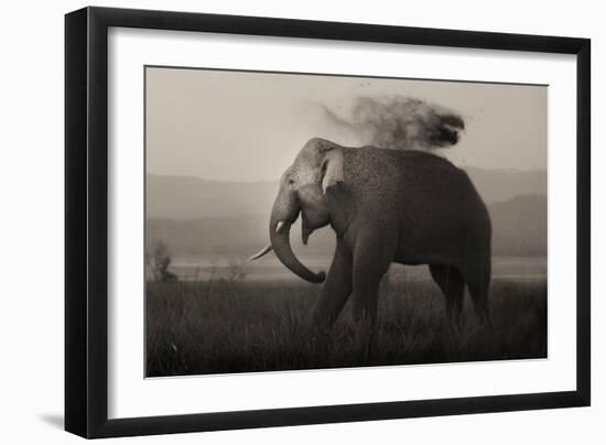 Tusker in Rain-Ganesh H Shankar-Framed Photographic Print