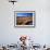 Tussocks and Hawkdun Range, Central Otago, New Zealand-David Wall-Framed Photographic Print displayed on a wall