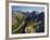 Tutoko River, Valley, Fiordland National Park, Southern Alps, Southland, South Island, New Zealand-Rainer Mirau-Framed Photographic Print