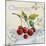 Tutti Fruiti Cherries-Jean Plout-Mounted Giclee Print