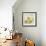 Tutti Fruiti Lemon-Jean Plout-Framed Giclee Print displayed on a wall
