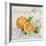 Tutti Fruiti Orange-Jean Plout-Framed Giclee Print