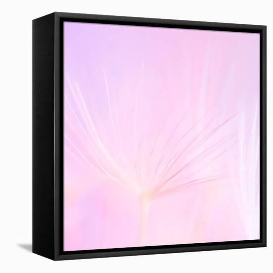 Tutu-Lynne Douglas-Framed Premier Image Canvas