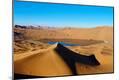 Photographic Print