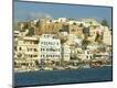 Photographic Print
