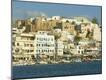 Photographic Print