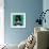 Tuxedo Cat-Lucia Heffernan-Framed Premium Giclee Print displayed on a wall